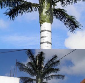 Torre de l'arbre celeste estètic