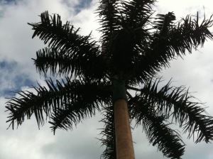 Torres mòbils disfressades d’arbres