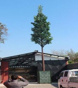 Torre de violoncel disfressada de palmera